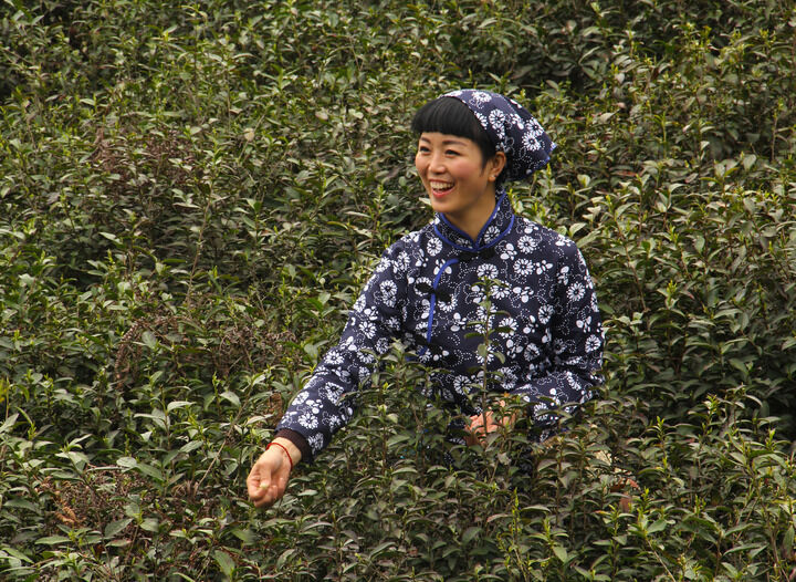暗黑情人